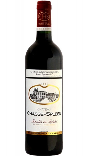 Château Chasse-Spleen - Moulis-en-Médoc - 2020 - 75cl